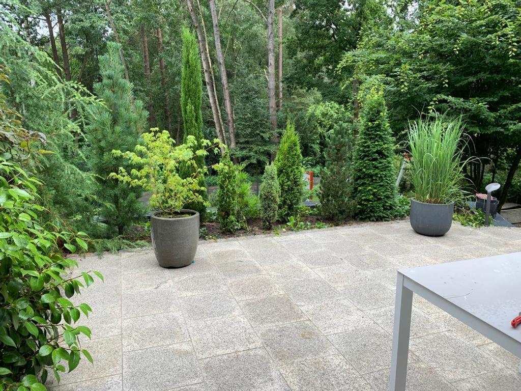 Ferienhaus Bendestorf, Waldweg 38,Naehe Hamburg מראה חיצוני תמונה